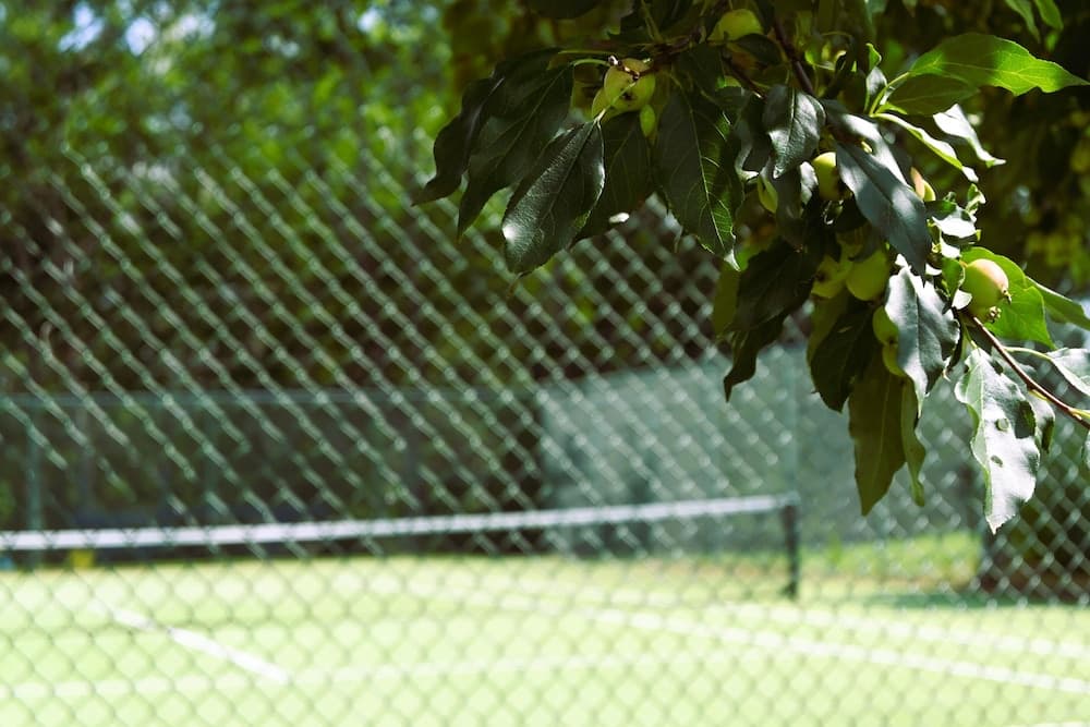 Tennis court
