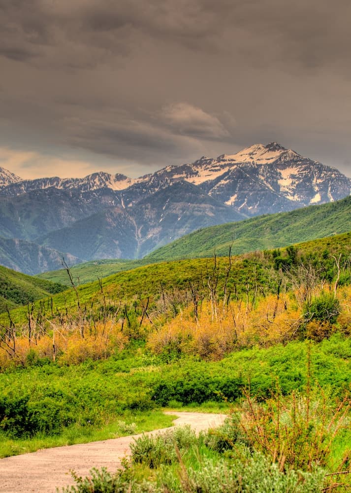 Mountain view