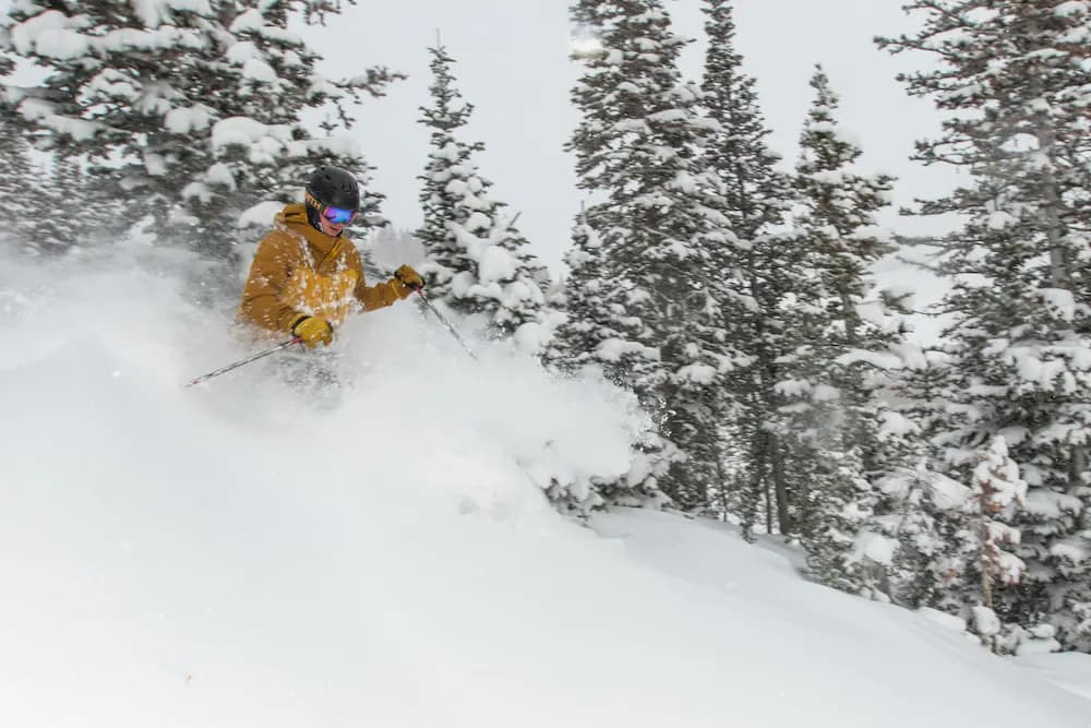 Skiing