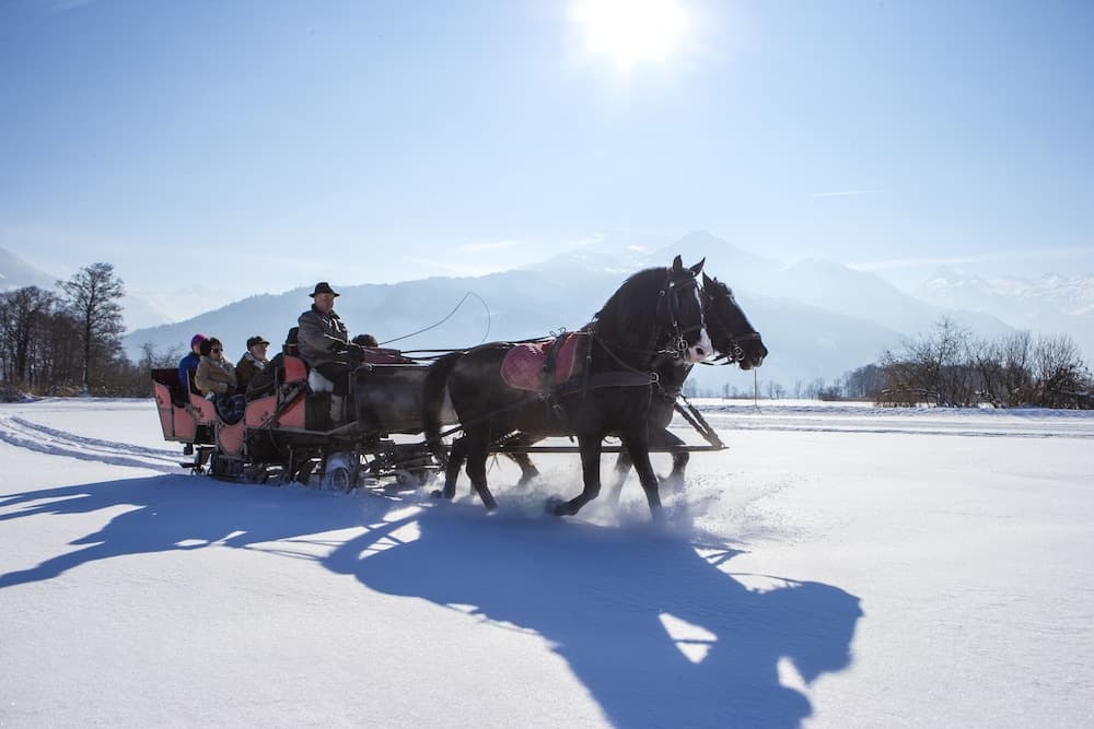 Horseback riding