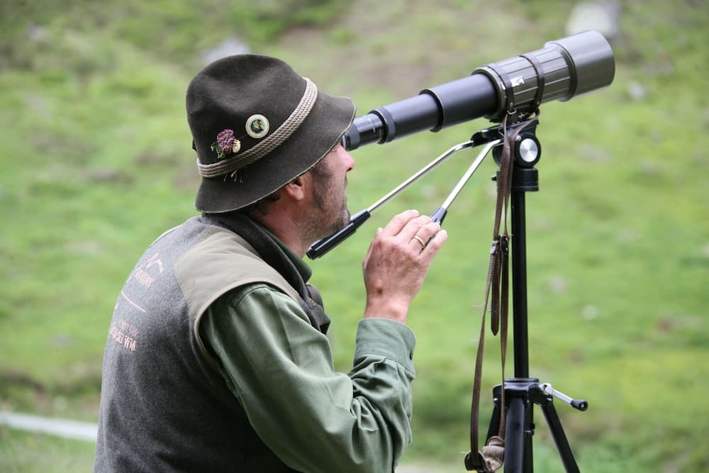 Game viewing