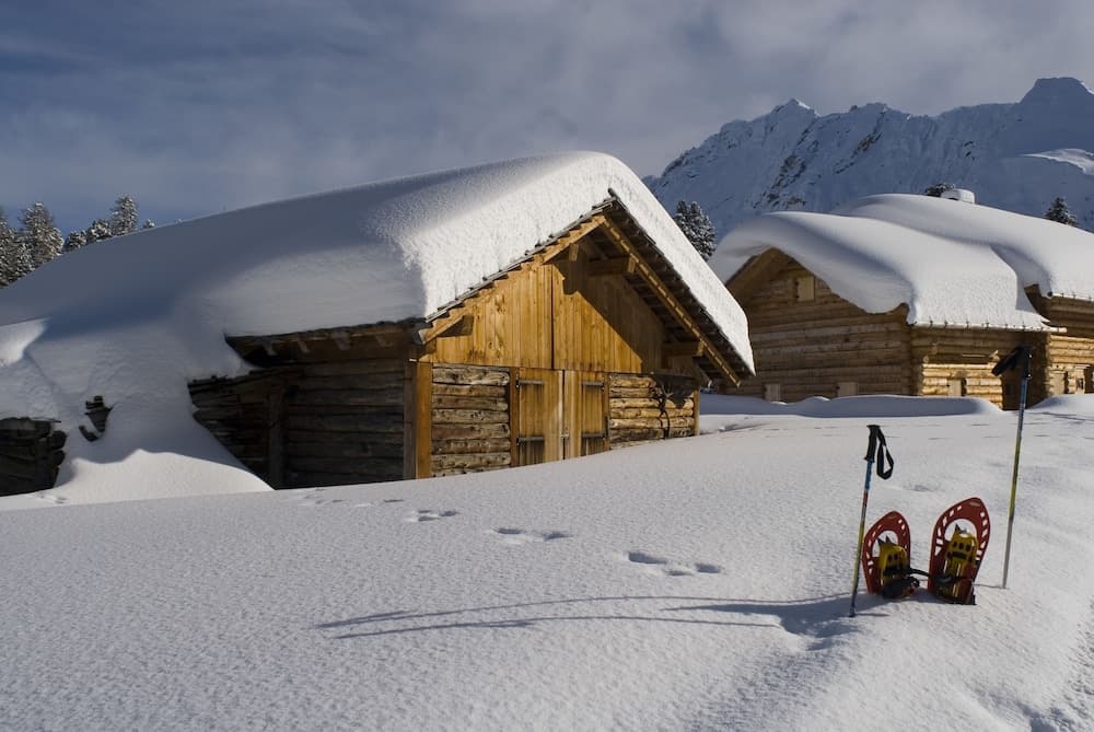Snowshoeing