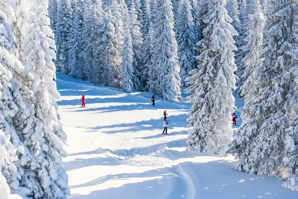 Snow and ski sports