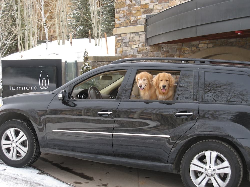 Pet-friendly