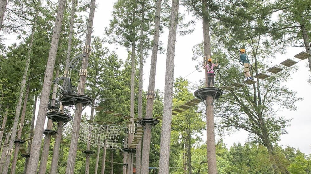 Ropes course (team building)