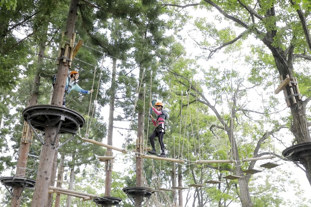 Ropes course (team building)