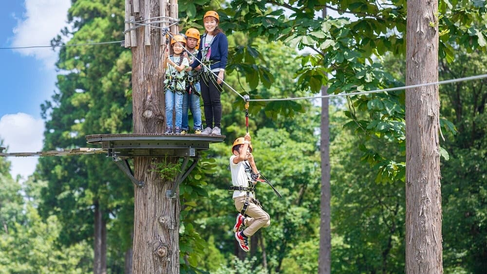 Children's activities