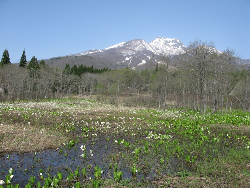 Land view from property