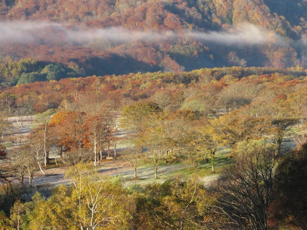 Land view from property