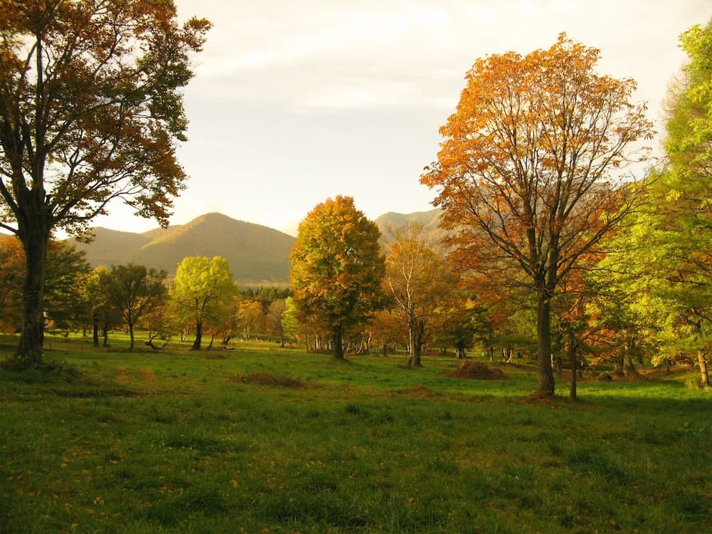 Land view from property