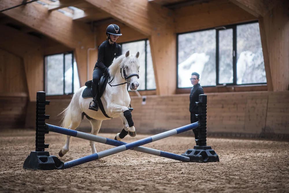 Horseback riding
