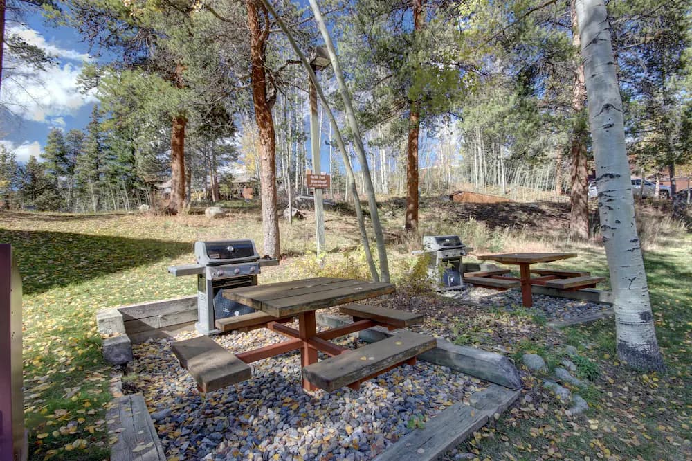 BBQ/picnic area