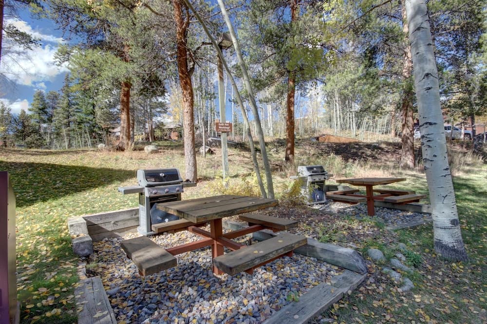BBQ/picnic area