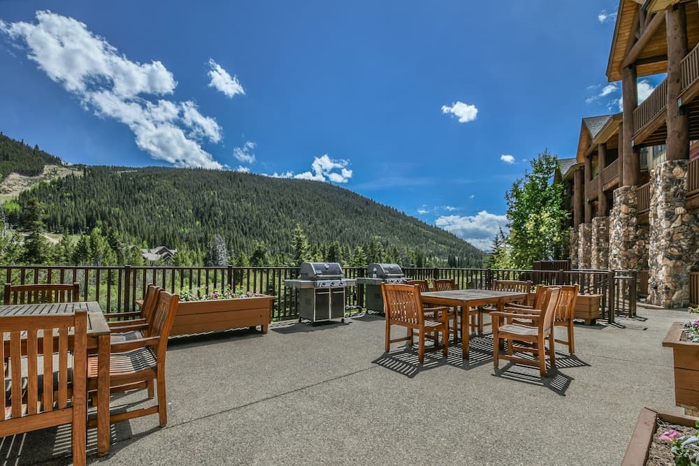 BBQ/picnic area