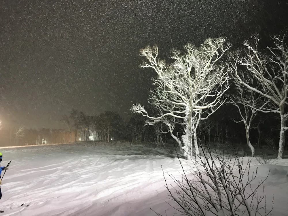 Snow and ski sports