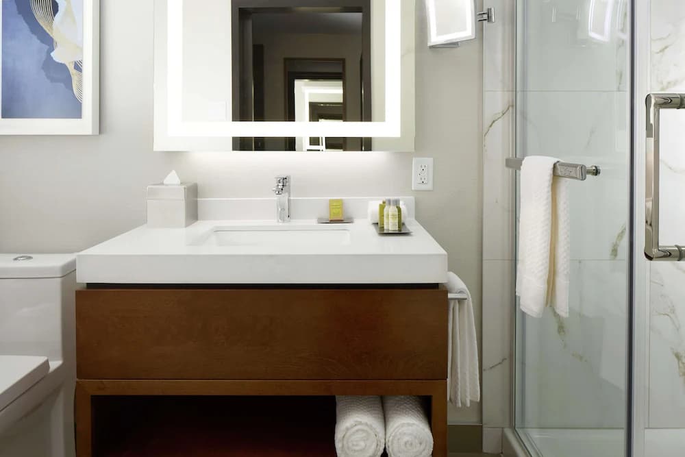 Bathroom shower
