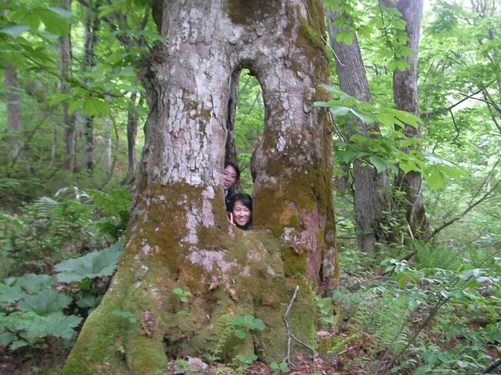 Hiking