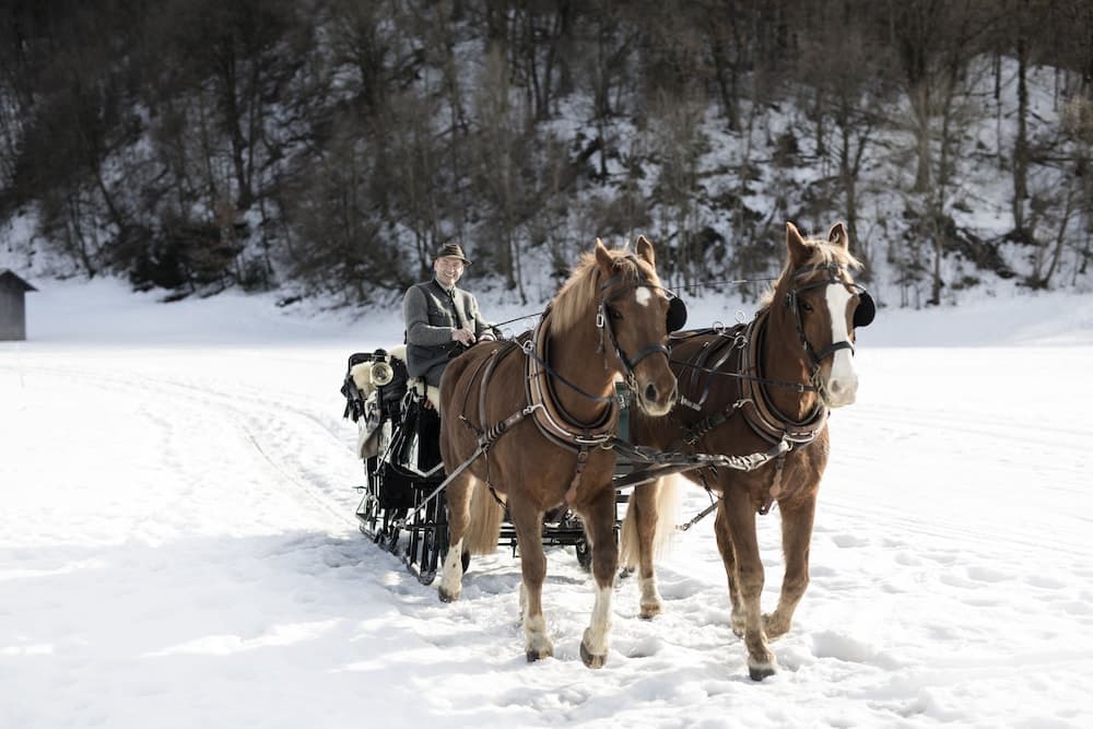 Horseback riding