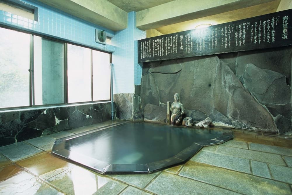 Public bath