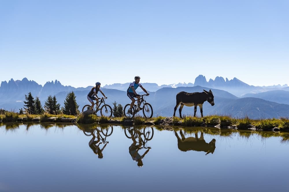 Bicycling