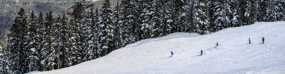 Skiing