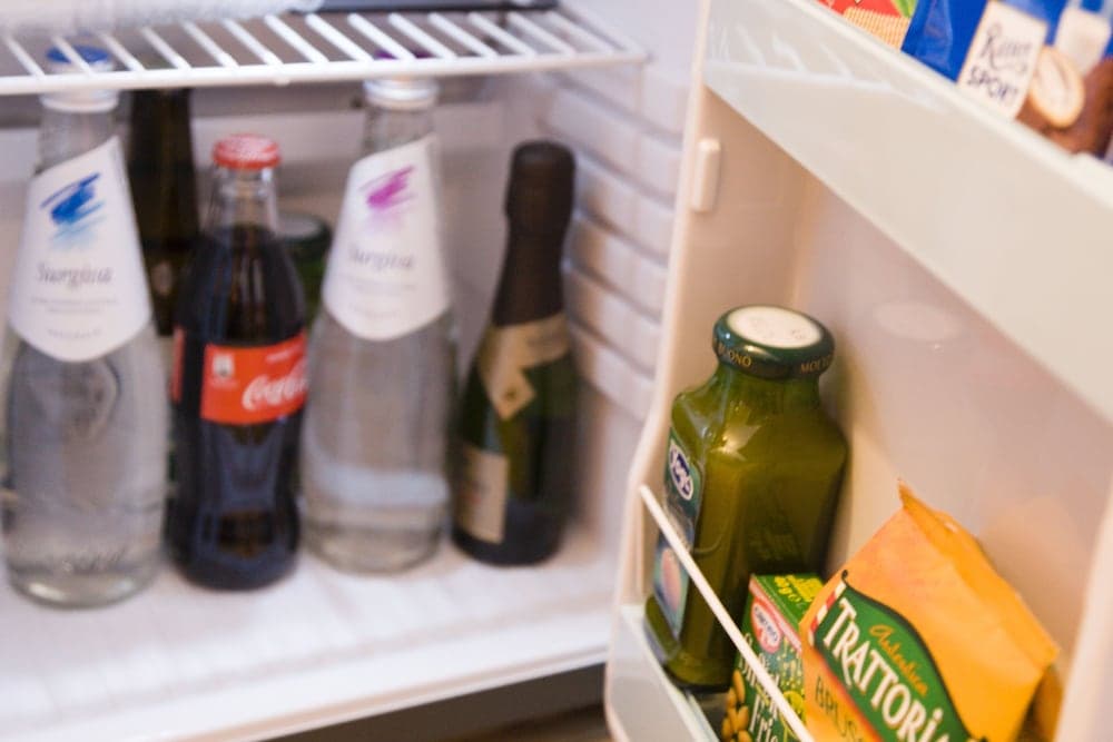 Mini-refrigerator