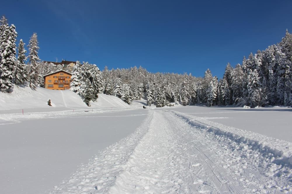Snow and ski sports