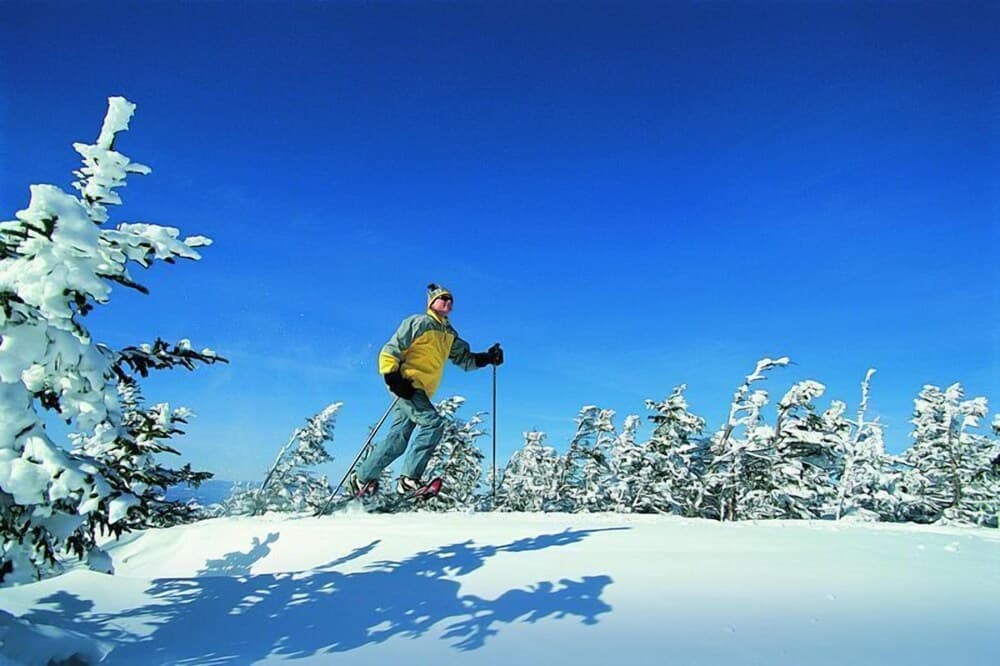 Skiing