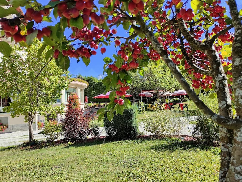Garden view