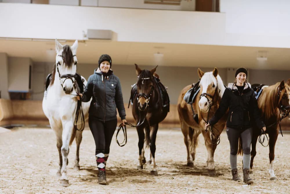 Horseback riding