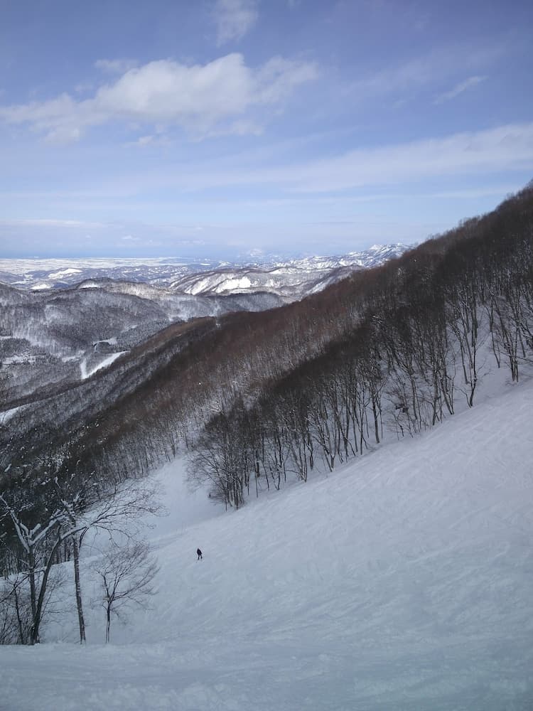 Snow and ski sports