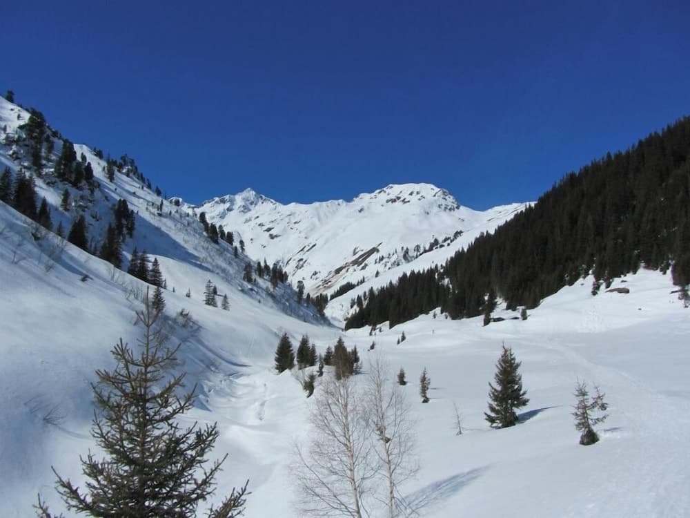 Skiing