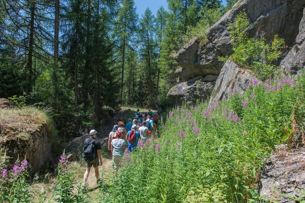 Hiking