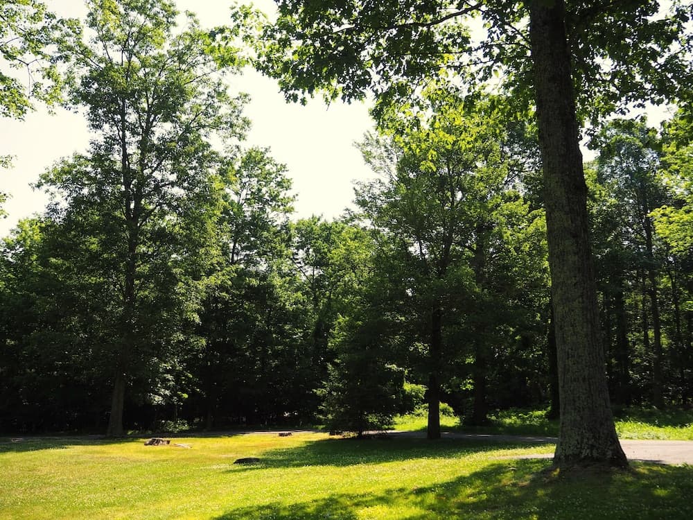 Land view from property