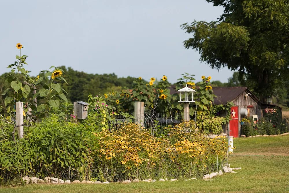 Garden