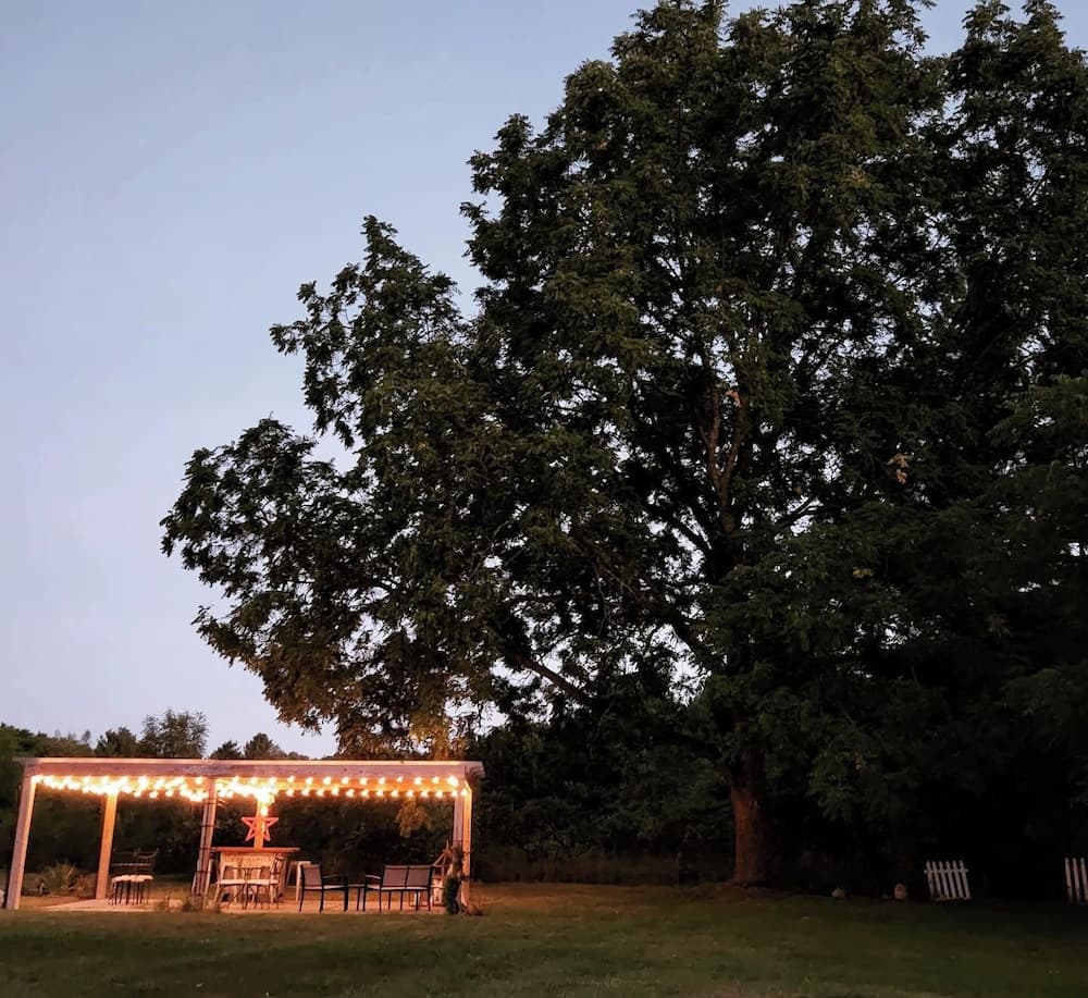 View from property