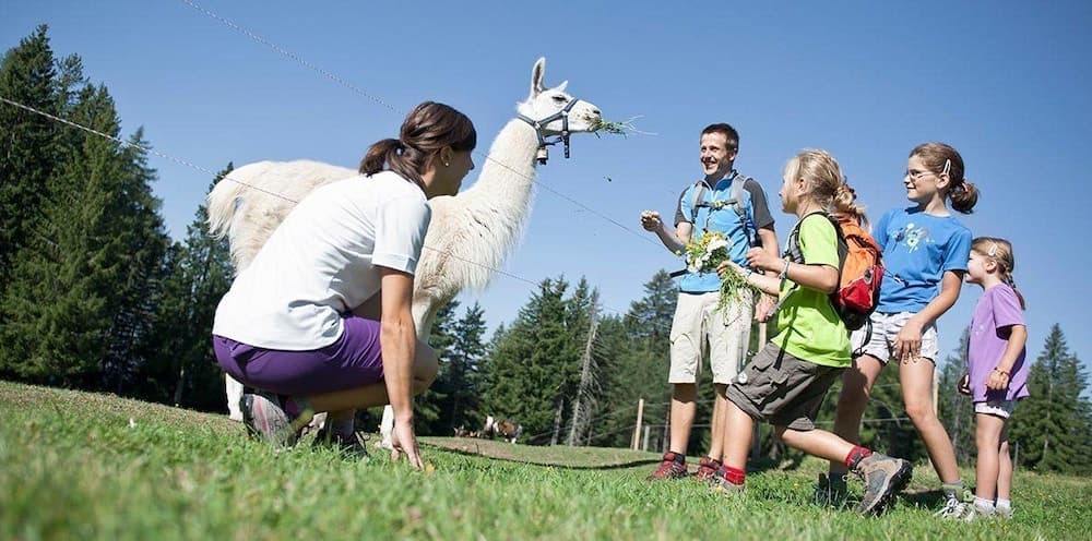 Children's activities