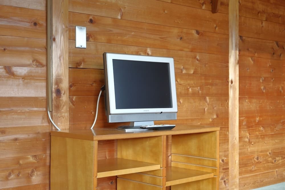 Television