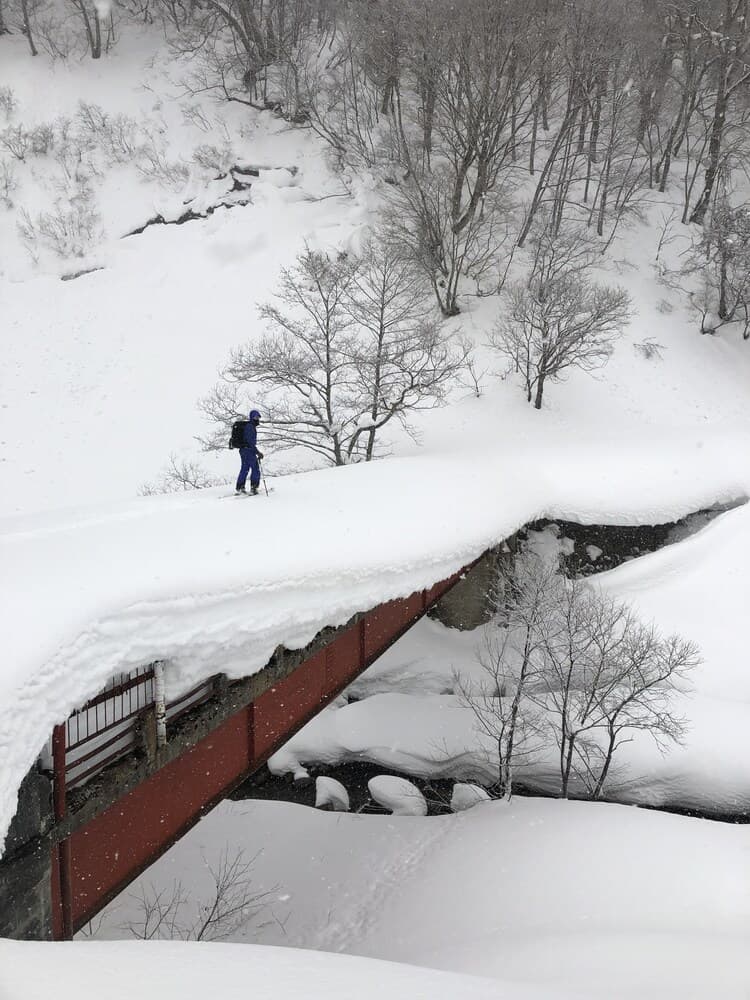 Skiing