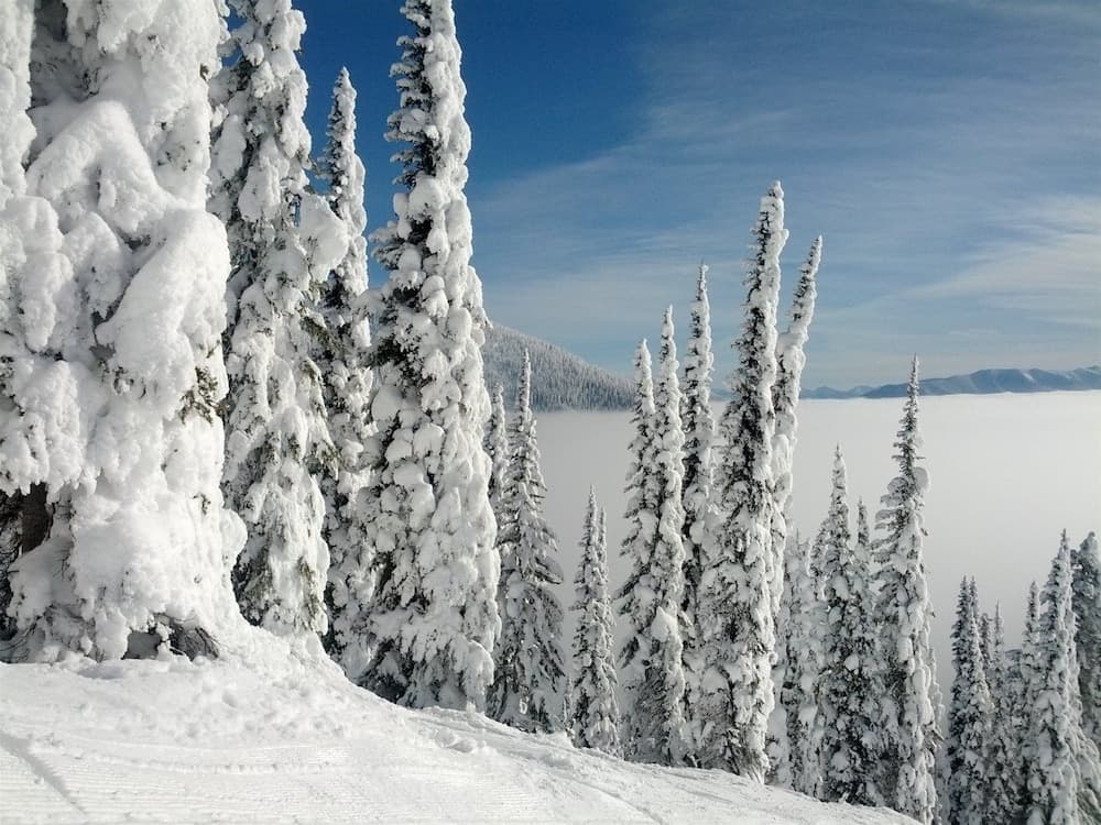 Snow and ski sports