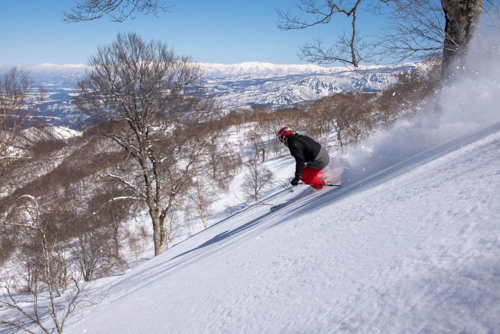 Skiing
