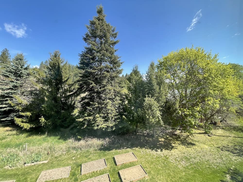 Garden view