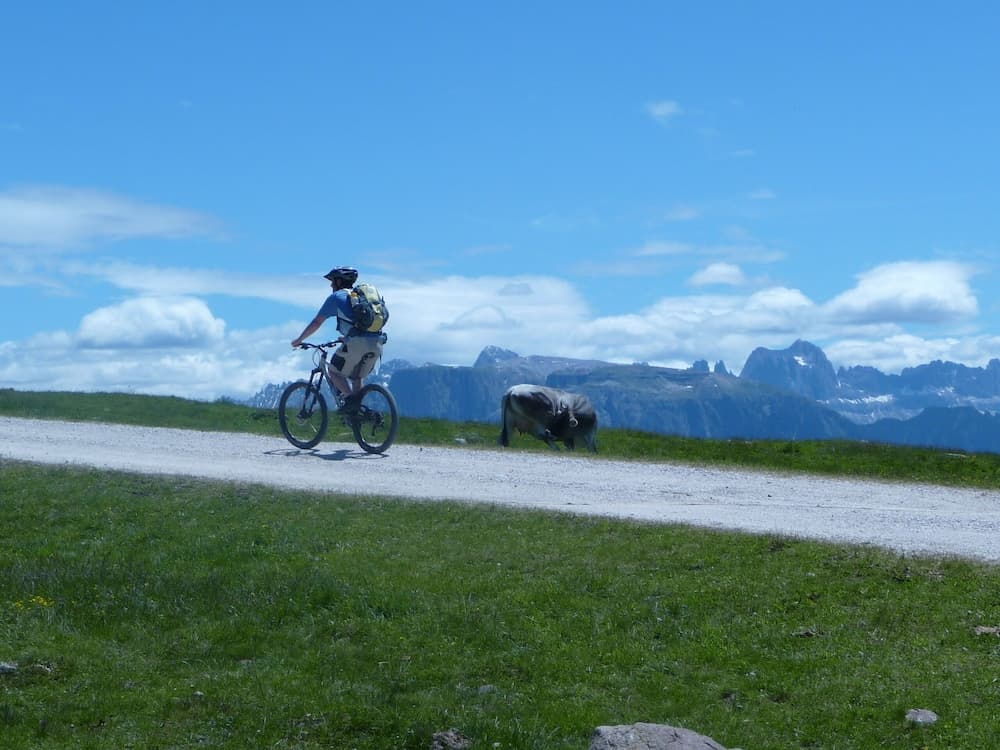Bicycling