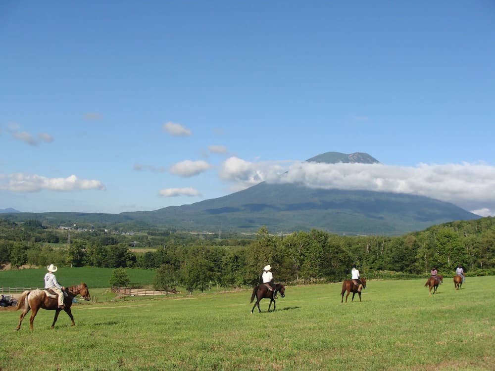 Horseback riding