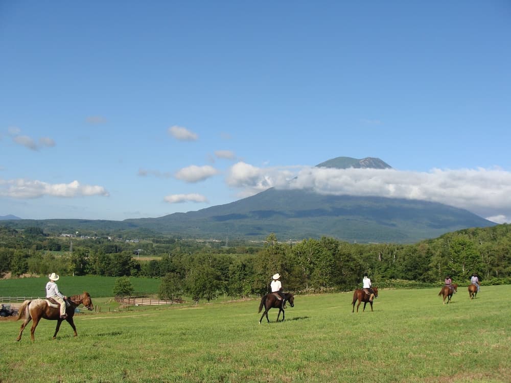 Horseback riding
