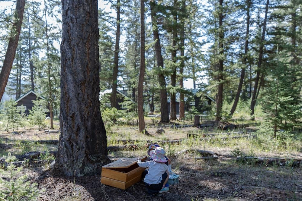 Children's activities