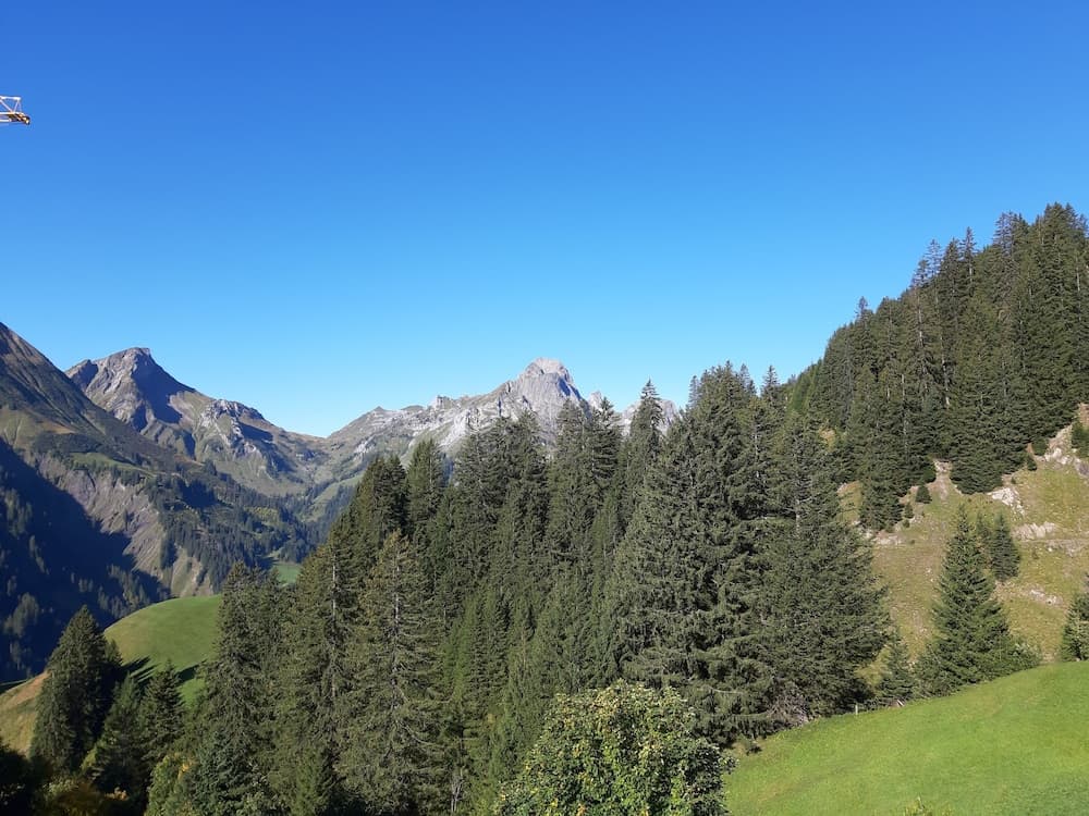 Mountain view