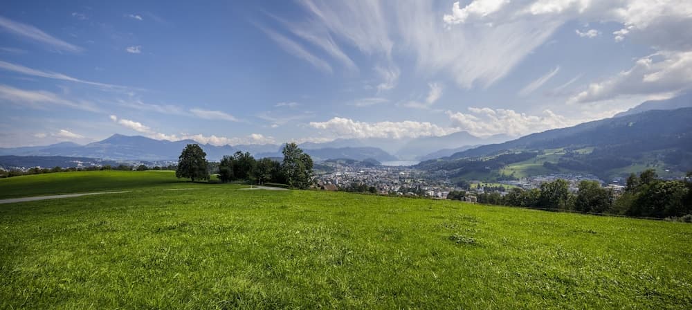 View from property