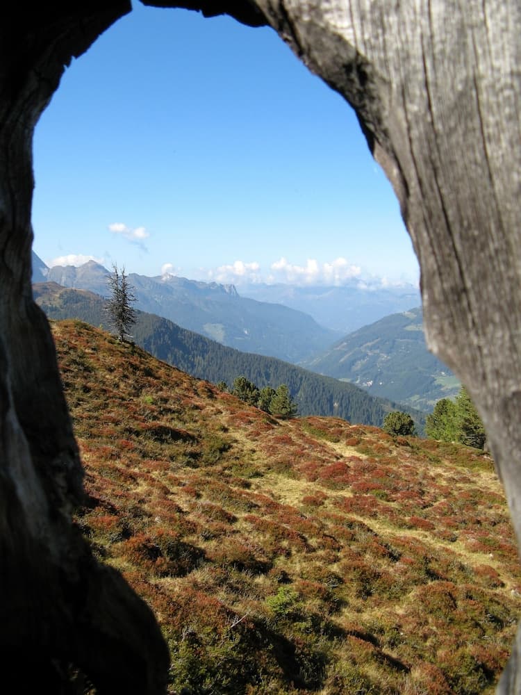 Mountain view