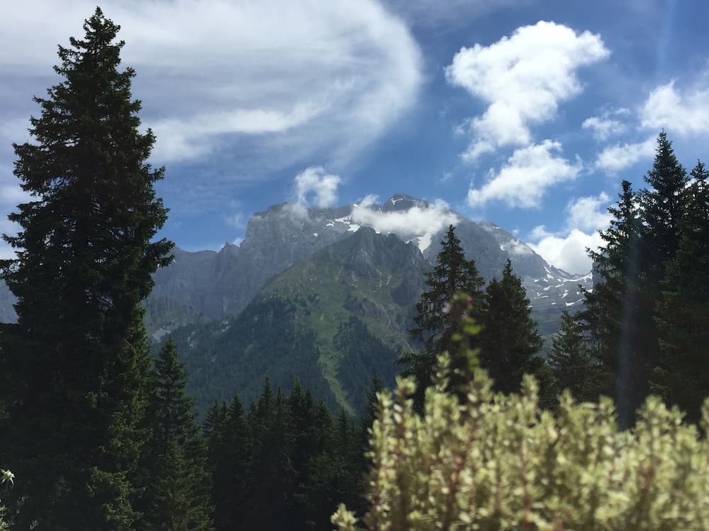 View from property